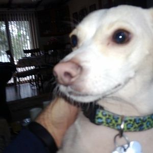 Meet your Posher, Joseph